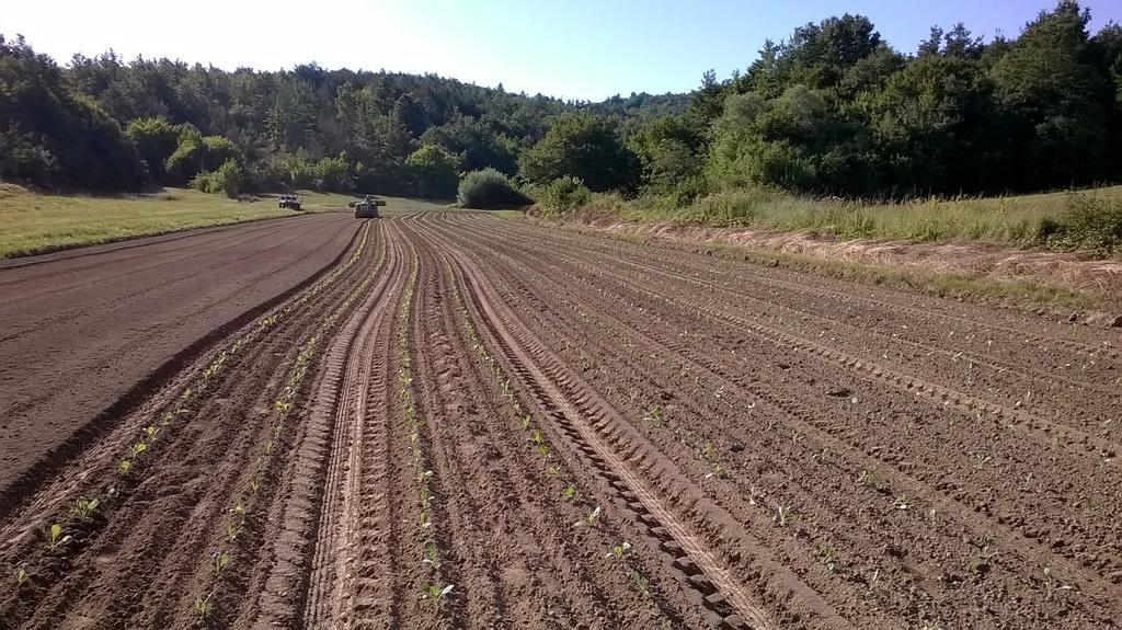 Agroturism Stara Stala Hotell Borut Eksteriør bilde