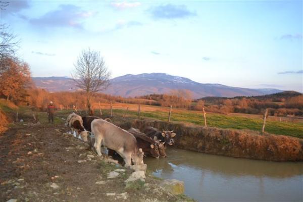 Agroturism Stara Stala Hotell Borut Eksteriør bilde